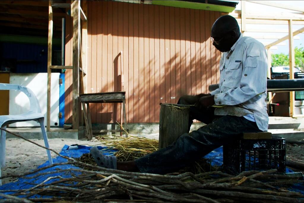 Un local quita la corteza de la cascarilla para extraer aceite, que luego se utilizará en cócteles de todo el mundo.